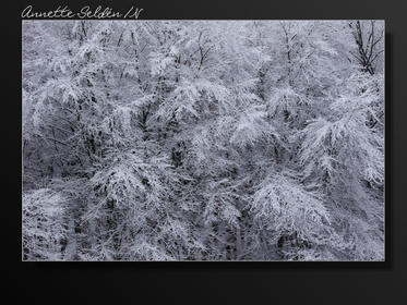 Vinter Oxhagen Gäddevik-07.jpg