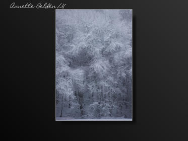 Vinter Oxhagen Gäddevik-08.jpg