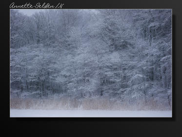 Vinter Oxhagen Gäddevik-09.jpg