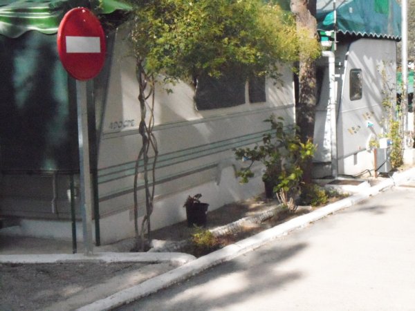 -Pomenad i bergen Peniscola jan9  2011 020.JPG