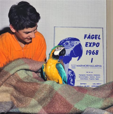 DSC_4392 (Small).jpg DSC_4392 (Small).jpg