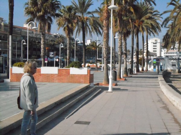 marknaden 17 jan 2011 rb 034.JPG