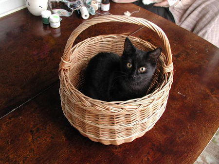 Millan i korg II.jpg