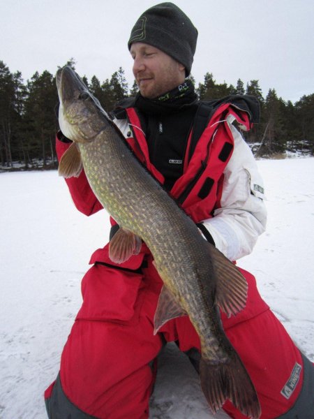 IMG_0096.jpg IMG_0096.jpg