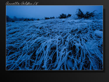 Fjärås Bräcka-1.jpg