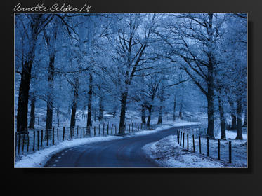 Fjärås Bräcka-2.jpg