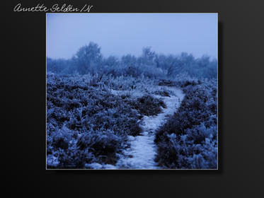 Fjärås Bräcka-3.jpg