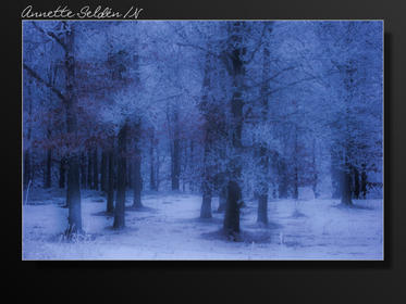 Fjärås Bräcka-5.jpg