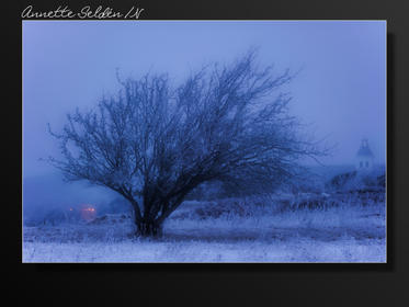 Fjärås Bräcka-6.jpg