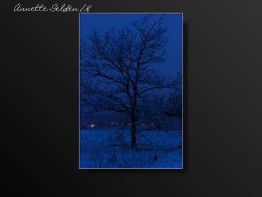 Fjärås Bräcka-7.jpg