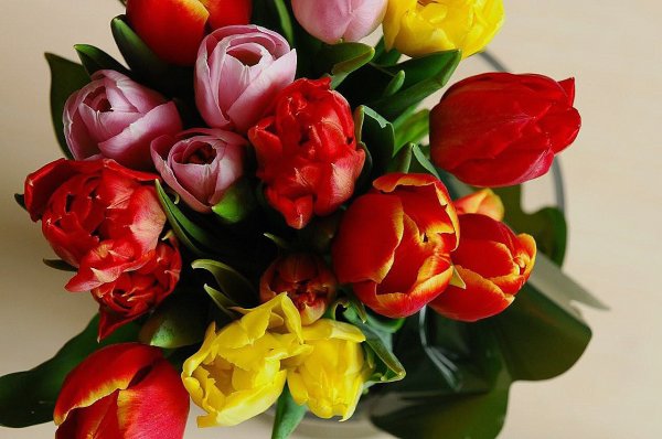 BENNYS  tulpaner.jpg