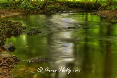 IMGP7680_1_2.jpg IMGP7680_1_2.jpg