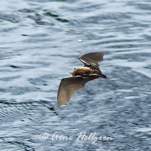 100425.jpg 100425.jpg