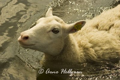 IMGP9468.jpg IMGP9468.jpg