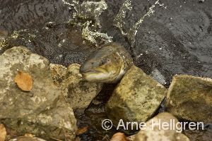 100428_2.jpg 100428_2.jpg