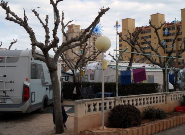 Benicarlo jordärtsk mm 2011 01 30 011.JPG