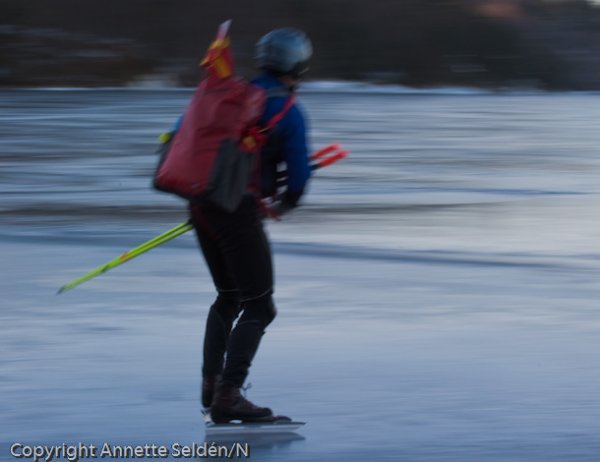 20110130.014.jpg 20110130.014.jpg