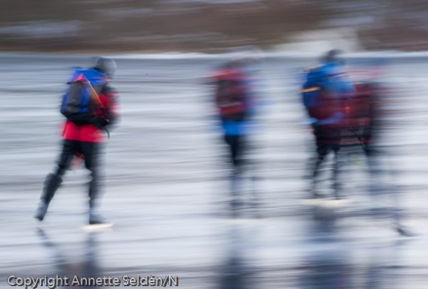 20110130.032.jpg 20110130.032.jpg