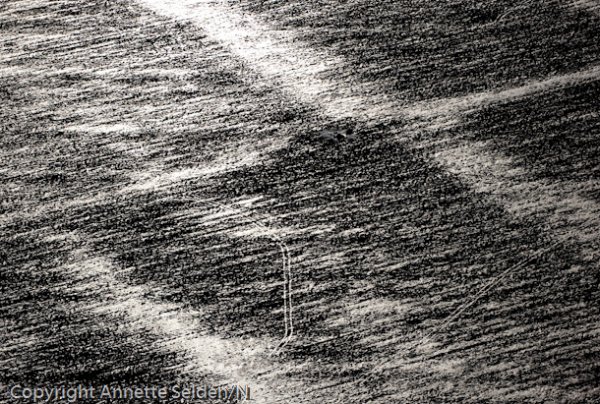 20110130.044.jpg 20110130.044.jpg