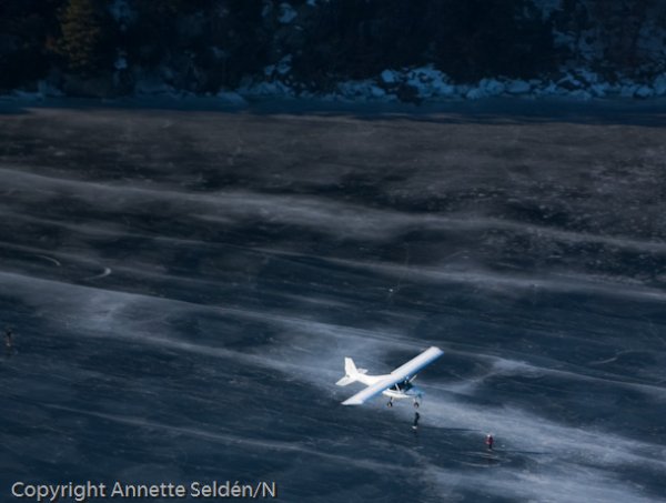 20110130.066.jpg 20110130.066.jpg