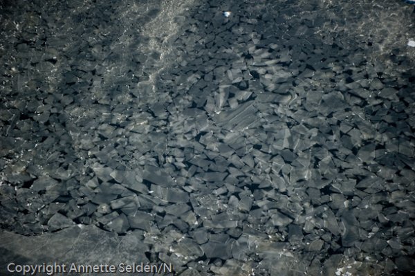 20110130.214.jpg 20110130.214.jpg