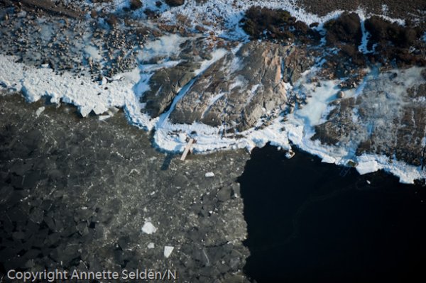 20110130.219.jpg 20110130.219.jpg