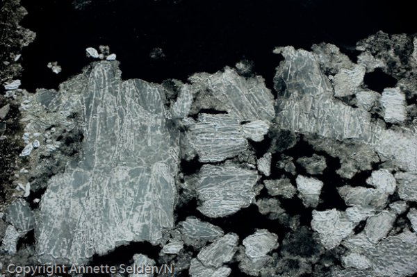 20110130.238.jpg 20110130.238.jpg