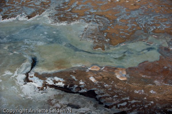 20110130.381.jpg 20110130.381.jpg