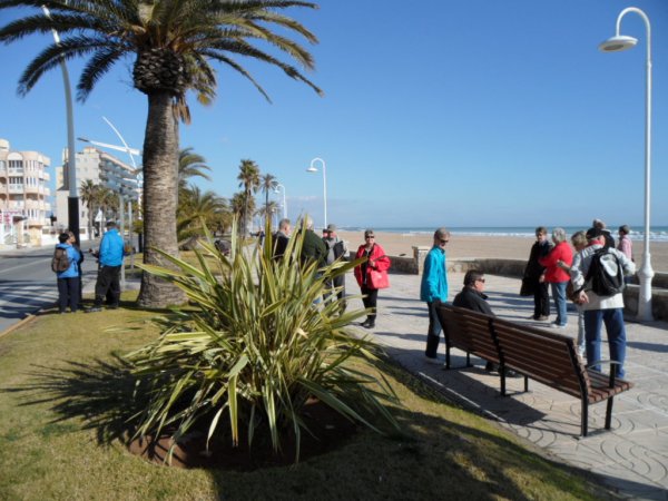 Benicarlo jordärtsk mm 2011 01 30 055.JPG