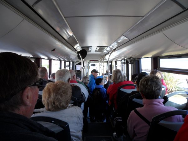 Benicarlo jordärtsk mm 2011 01 30 057.JPG