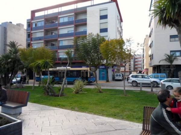 Benicarlo jordärtsk mm 2011 01 30 082.JPG