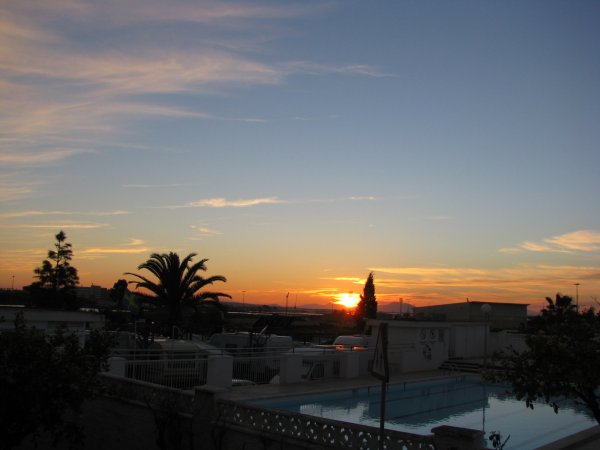 3febr 2011 sushi och blommor 002.JPG