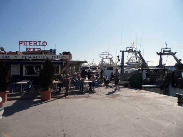 sommar och sol 5 feb 2011 Peniscola 060.JPG