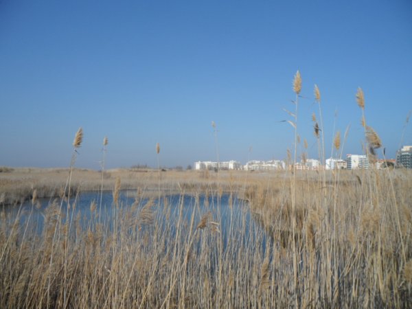 6-13-2 2001 Peniscola 019.JPG