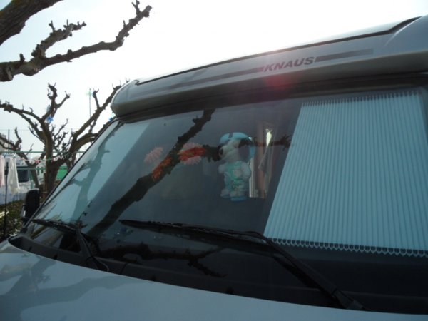 6-13-2 2001 Peniscola 062.JPG