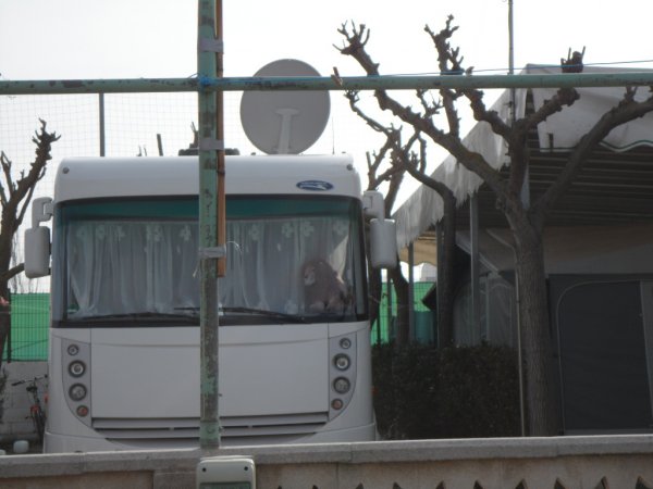 6-13-2 2001 Peniscola 061.JPG