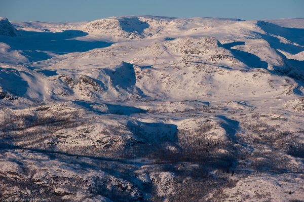 _DSC6446.jpg _DSC6446.jpg