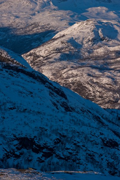 _DSC6449.jpg _DSC6449.jpg