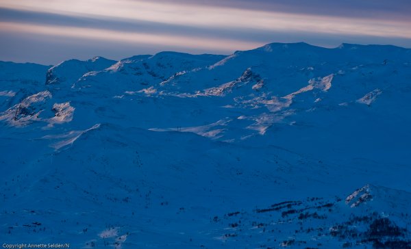 _DSC6462.jpg _DSC6462.jpg