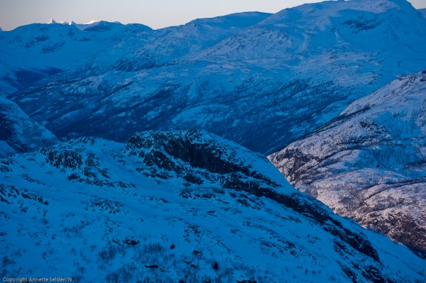 _DSC6464.jpg _DSC6464.jpg