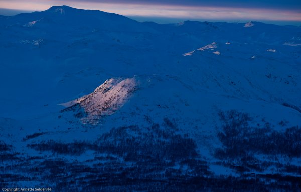 _DSC6466.jpg _DSC6466.jpg