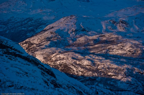 _DSC6469.jpg _DSC6469.jpg