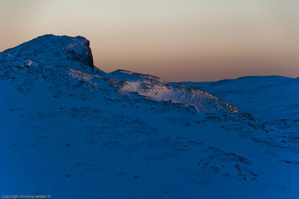 _DSC6471.jpg _DSC6471.jpg