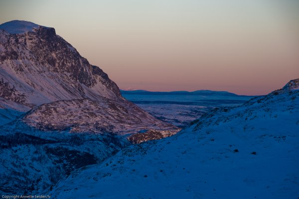 _DSC6477.jpg _DSC6477.jpg