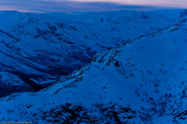 _DSC6484.jpg _DSC6484.jpg