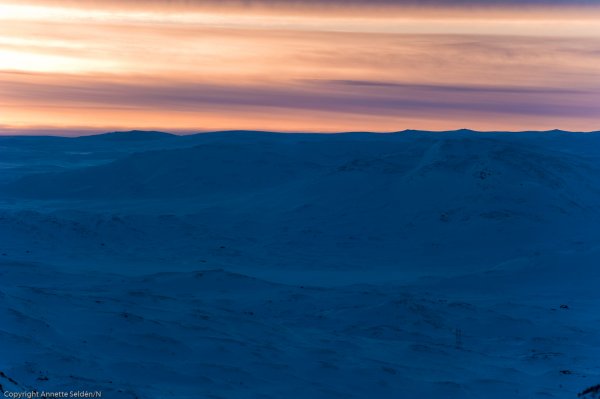 _DSC6485.jpg _DSC6485.jpg