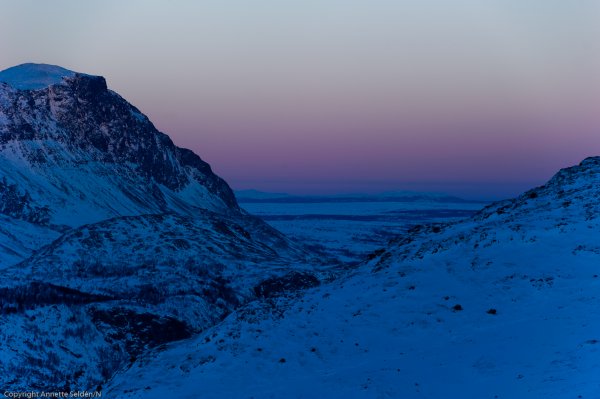 _DSC6490.jpg _DSC6490.jpg