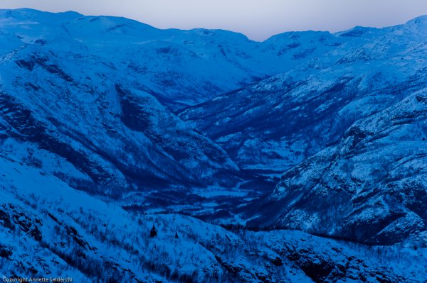 _DSC6493.jpg _DSC6493.jpg