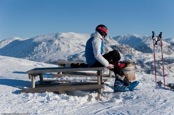 _DSC6539.jpg _DSC6539.jpg