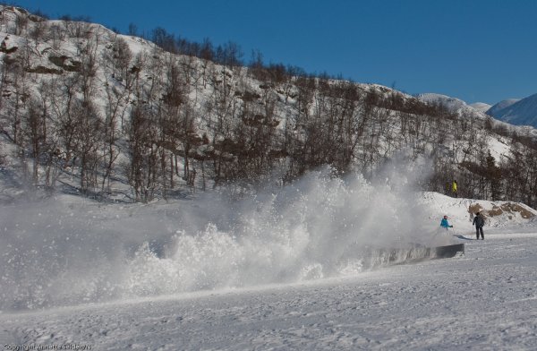 _DSC6584.jpg _DSC6584.jpg